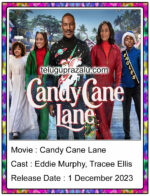 Candy Cane Lane