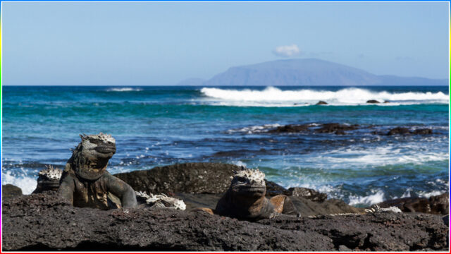 2. Galapagos Islands