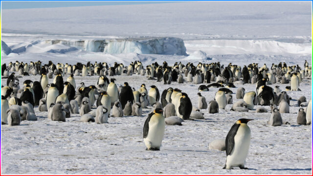 7. Antarctica
